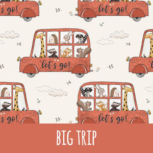 Big trip Bio Jersey - Mamikes