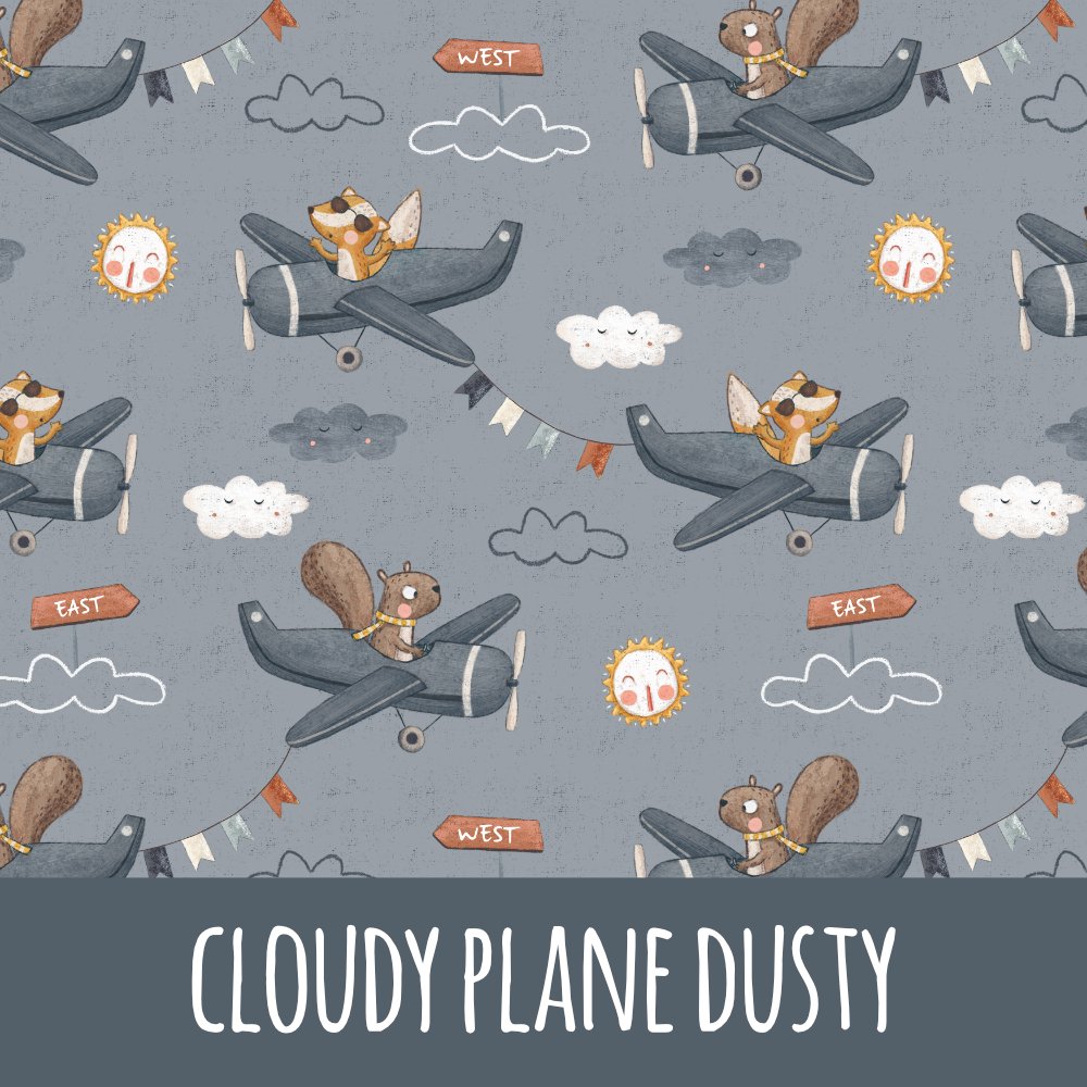 Cloudy plane dusty Bio Jersey