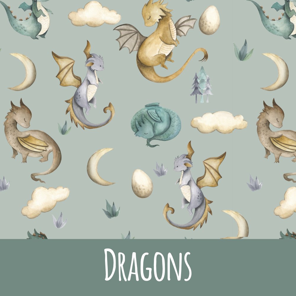 Dragons Bio Jersey