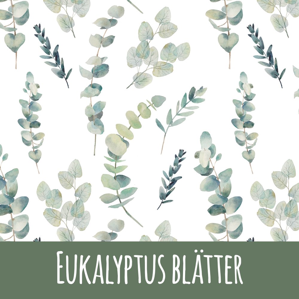 Eukalyptus blätter Bio Sommersweat