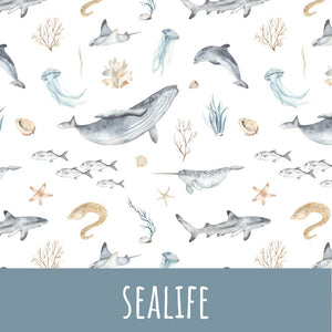 Sealife Softshell - Mamikes
