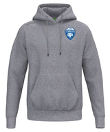 Hoody TSV Handball grau