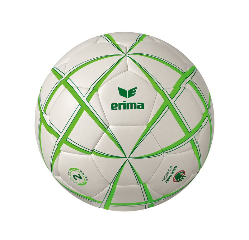 Handball magic TSV Handball