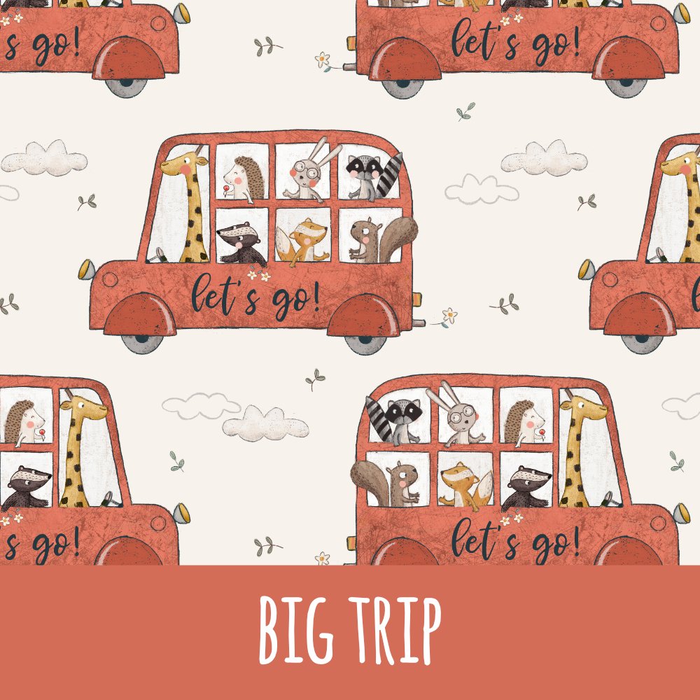 Big trip Bio Jersey