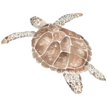 Bügelbild Schildkröte 3 - BB083