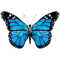 Bügelbild Schmetterling 4 - BB220