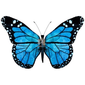 Bügelbild Schmetterling 4 - BB220
