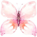 Bügelbild Schmetterling 8 - BB084