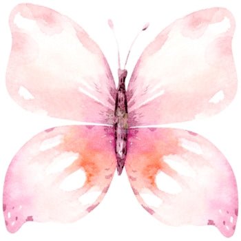 Bügelbild Schmetterling 8 - BB084