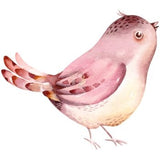 Bügelbild Vogel - BB047 - Mamikes