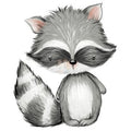 Bügelbild Waschbär 1 - BB154
