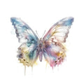 Bügelbild Wasserfarben Schmetterling 2 - BB468