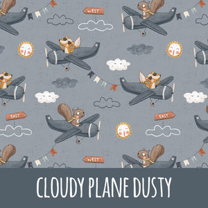 Cloudy plane dusty Bio Jersey - Mamikes