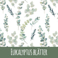 Eukalyptus blätter Bio Sommersweat