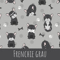 Frenchie grau Bio Jersey