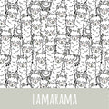 Lamarama Bio Jersey