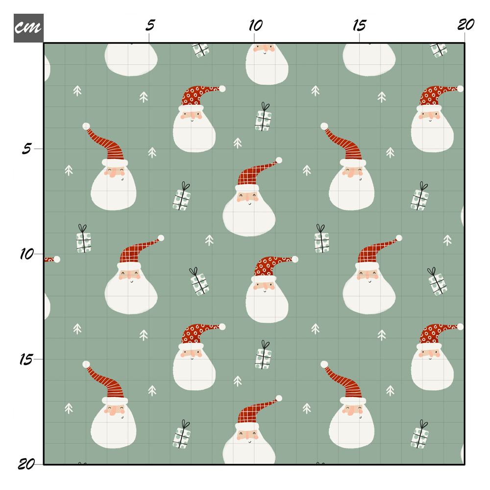 Minty santa Bio Jersey - Mamikes