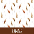 Pampas Baumwolle