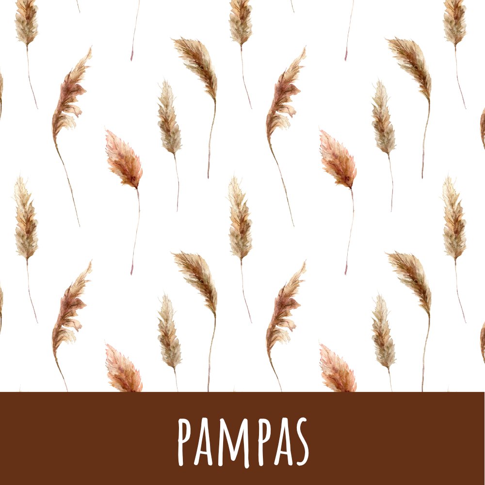 Pampas Baumwolle